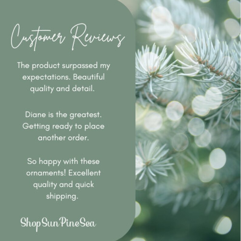 Baby Dinosaur Personalized Baby Gift Personalized Babys First Christmas