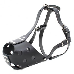 May include: Black leather dog muzzle with adjustable straps and metal buckles. The muzzle has a perforated design for ventilation.
