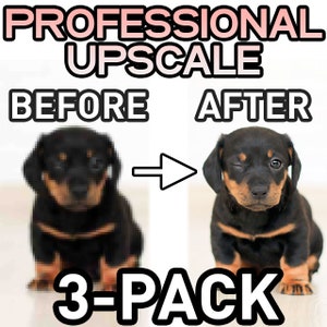May include: Before and after image showing the results of professional image upscaling. A blurry image of a dachshund puppy is shown on the left, and a clear, high-resolution image of the same puppy is shown on the right. The text "3-PACK" is displayed at the bottom of the image.