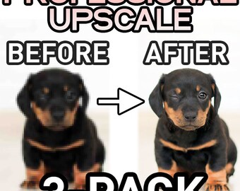 Image Enhancement Service (3-Pack) | Upscale, Resolution Increase, Remove Scratches and more!