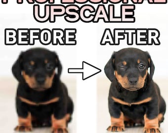 Image Enhancement Service | Upscale, Resolution Increase, Remove Scratches and more!