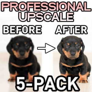 May include: Before and after image showing the results of professional image upscaling. A blurry image of a black and brown dachshund puppy is shown on the left, and a clear, high-resolution image of the same puppy is shown on the right. The text "5-PACK" is displayed below the images.