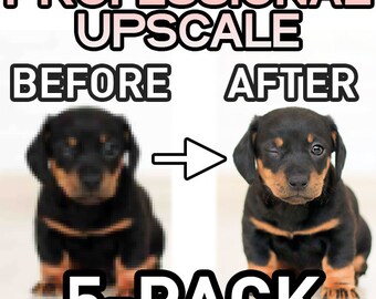 Image Enhancement Service (5-Pack) | Upscale, Resolution Increase, Remove Scratches and more!