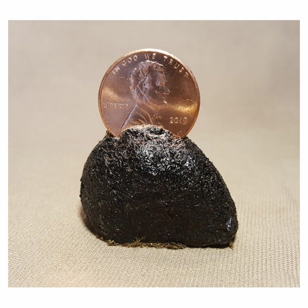 Cheap Christmas Gag Gifts 60+ Gift Ideas for 2024