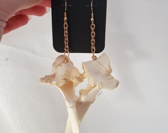 DEER Vertebrae LARGE Dangle Earrings