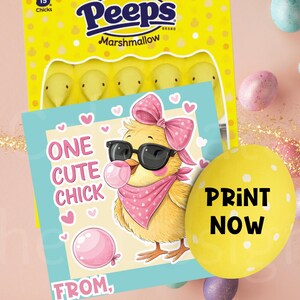 Cartão Cute Chick Peeps, Peep Tags, presente de Páscoa, para impressão, lembrancinhas para amigas