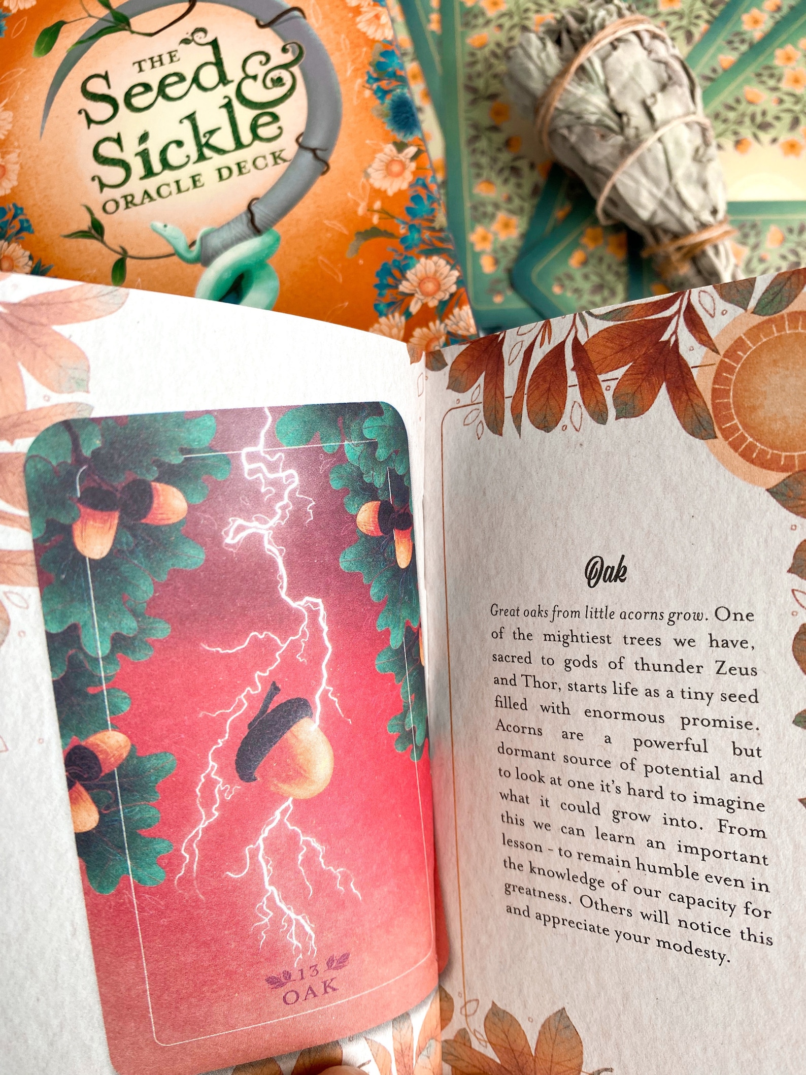 Oracle Card Spring Seeds Rabbit Seed & Sickle Oracle Deck - Etsy UK
