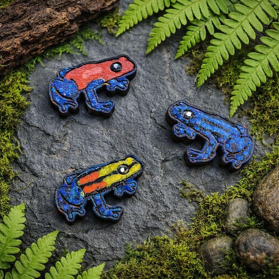 Poison Dart Frog Earrings: Nature Inspired Studs (Custom Colors)