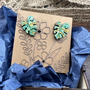 Variegated Monstera Studs in a wood gift box