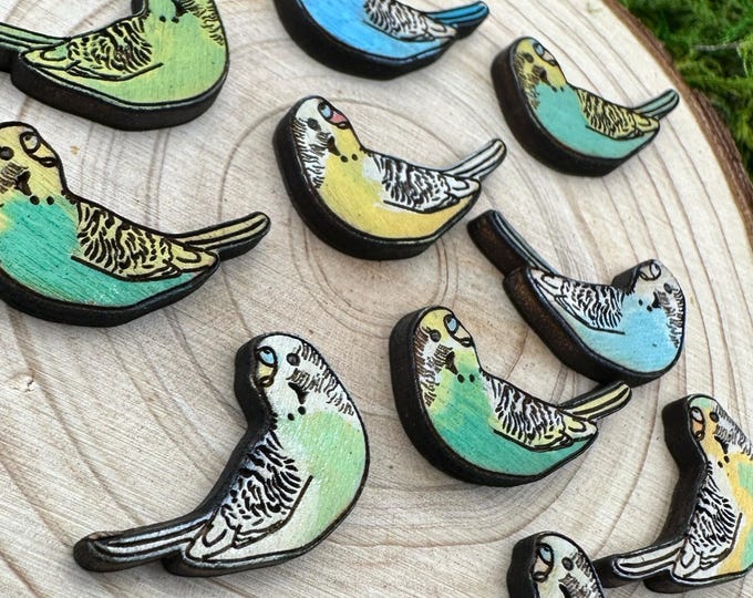 Hand-Painted Parakeet Stud Earrings: Custom Pet Portrait Bird Jewelry