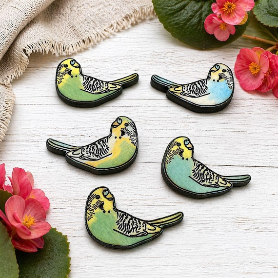 Hand-Painted Parakeet Stud Earrings: Custom Pet Portrait Bird Jewelry
