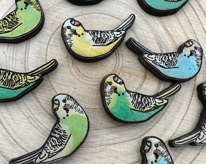 Hand-Painted Parakeet Stud Earrings: Custom Pet Portrait Bird Jewelry
