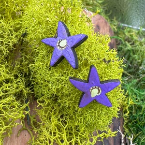 Bittersweet Nightshade Flower Stud Earrings – Hand-Painted Wood Jewelry