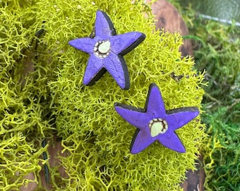 Bittersweet Nightshade Flower Stud Earrings – Hand-Painted Wood Jewelry
