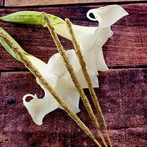 Hand Crafted Magnolia Scented Incense Sticks