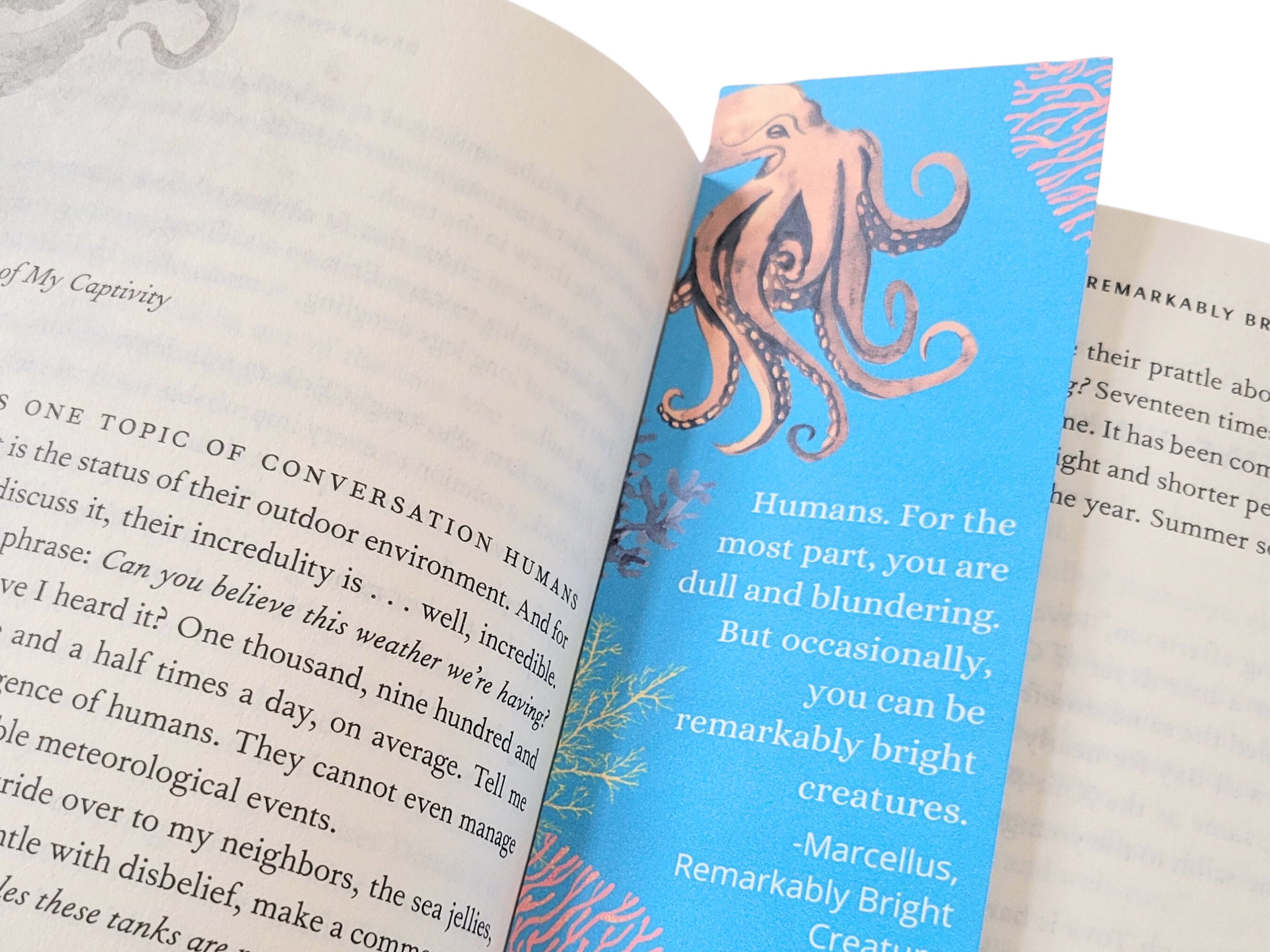 Remarkably Bright Creatures Book Club Guide Etsy