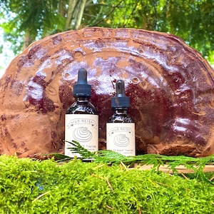 Dual-Extract Wild Harvested Reishi Mushroom Tincture
