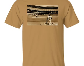 Roberto Clemente Baseball Field T-Shirt (Unisex)