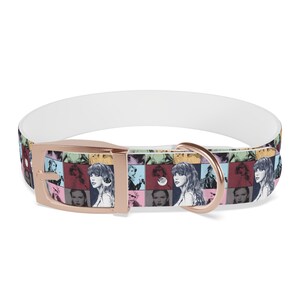 Taylor Swiftie Eras Tour Swift Inspired Dog Collar Customized Pet Lover Custom Gift