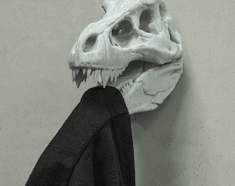 May include: A white dinosaur skull wall hook with a black garment hanging from it.