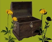 Rustic trunk, treasure chest, blanket chest, toy box.