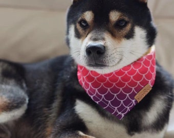 Rainbow Dog bandana, Colorful Dog bandana, Colorful Dog Neckwear, Pet Accessories, Dog Gift, Dog Scarf