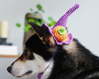 Sombrero de bruja de crochet para mascotas: disfraz de gato otoñal hecho a mano
