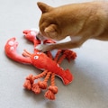 Dog Lobster Rope Toy, Durable Chew Toy, Tug of War product logo