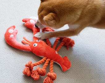 Dog Lobster Rope Toy, Durable Chew Toy, Tug of War