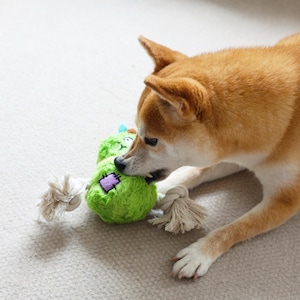 Handmade Pear Dog Rope Toy: Interactive Chew Toy with Squeaker