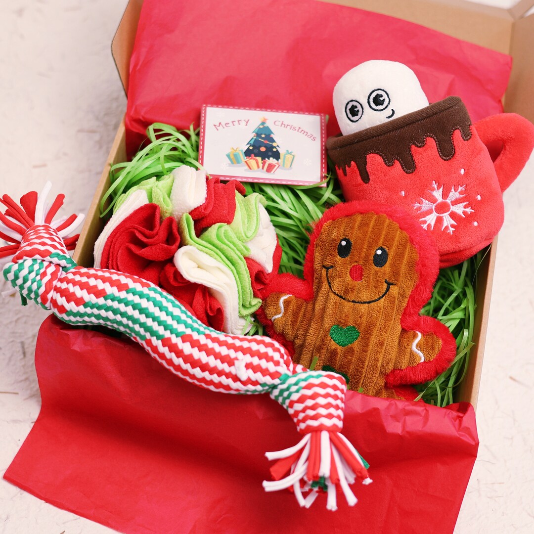 Christmas Dog Toy Gift Box, Personalized Gift Box for Dog, Bundle of 4 Dog Toys, Custom Dog
