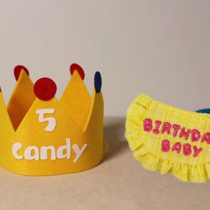 Conjunto de chapéu e bandana para aniversário de cachorro: artigos para festas artesanais