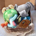Personalized Dog Toy Gift Box: Turtle Puzzle, Plush Crocodile, Snuffle Ball & Elephant Hide Toy product logo