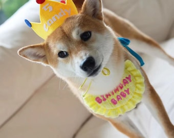 Dog Birthday Hat and Bandana Set: Handmade Party Supplies