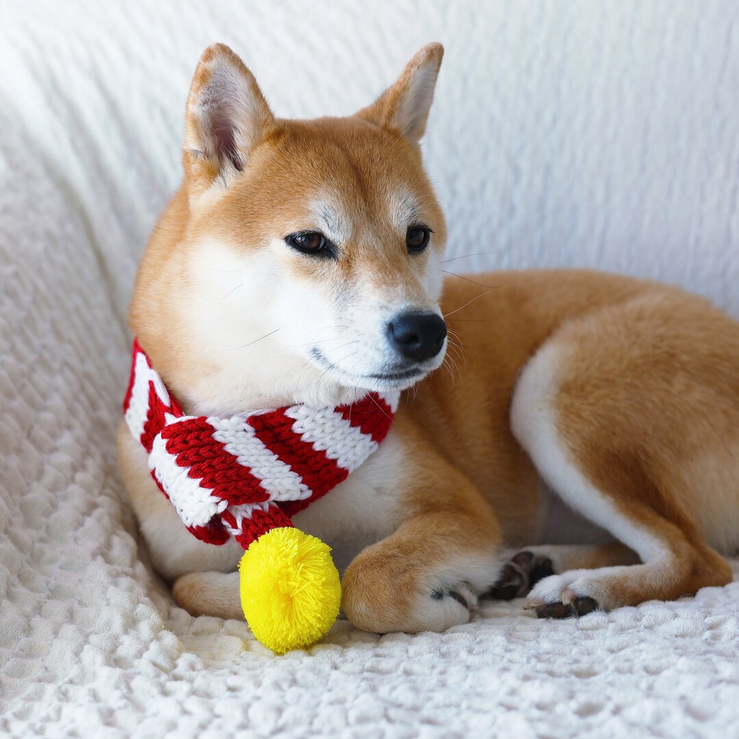 Christmas Dog Scarf, Dog Winter Neckwear, Knitted Pet Bandana