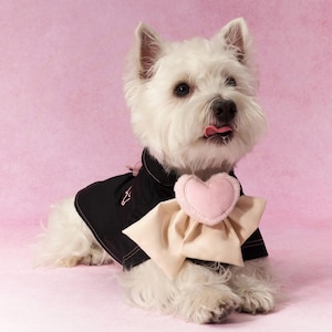 Cute Dog Cat Necktie, Bow Tie for Dog Cat, Pet Accessories, Dog Gift, Dog Scarf