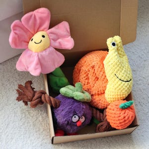 Dog Toy Gift Box: Customized Puppy Birthday Bundle