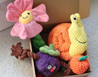 Dog Gift Box, Bundle of Dog Toys, Customized Gift for Dog, Pet Birthday Gift, New Puppy Gift Box