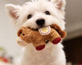 The Adorable Pony-Dog Plush Hybrid toy a Secret Pocket & Squeaker