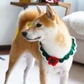 Handmade Christmas Dog Knitted Scarf: Holiday Pet Costume product logo