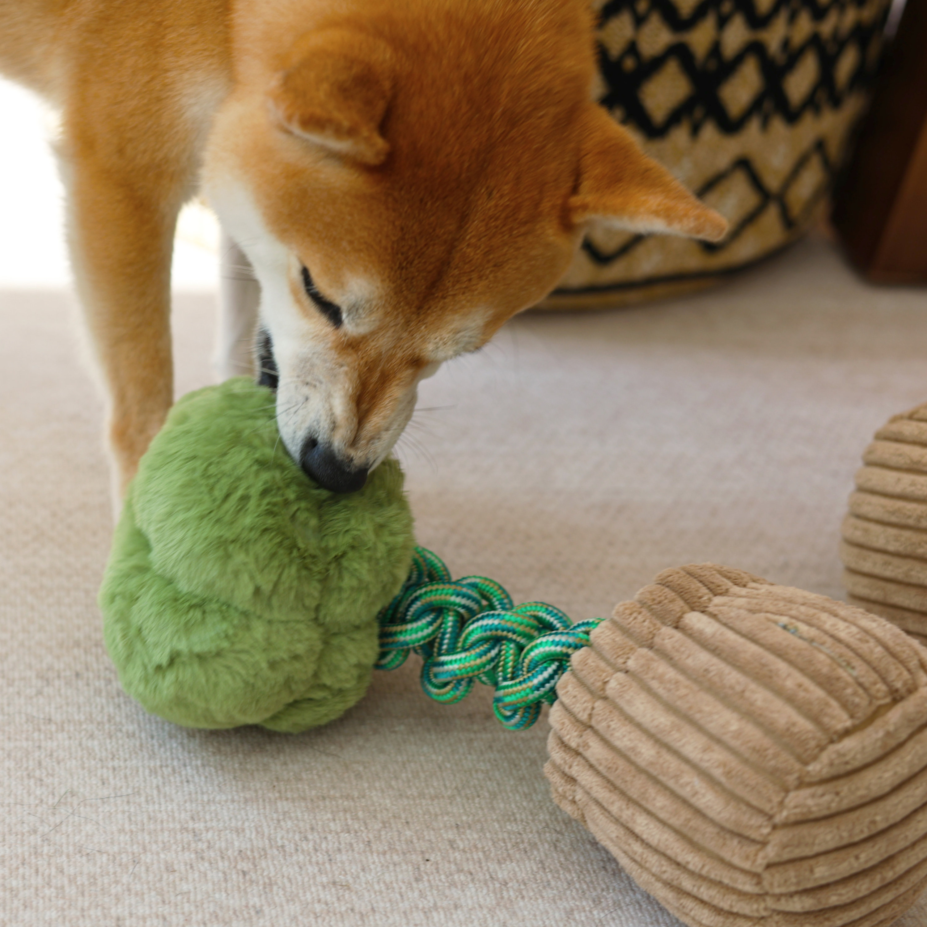 Hundespielzeug unkaputtbar - Etsy sterreich
