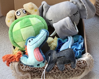 Dog Toy Gift Box, Personalized Bundle of Pet Toys, Customized Gift for Dogs, Dog Birthday Gift, New Puppy Gift, Dog Christmas Gift Box