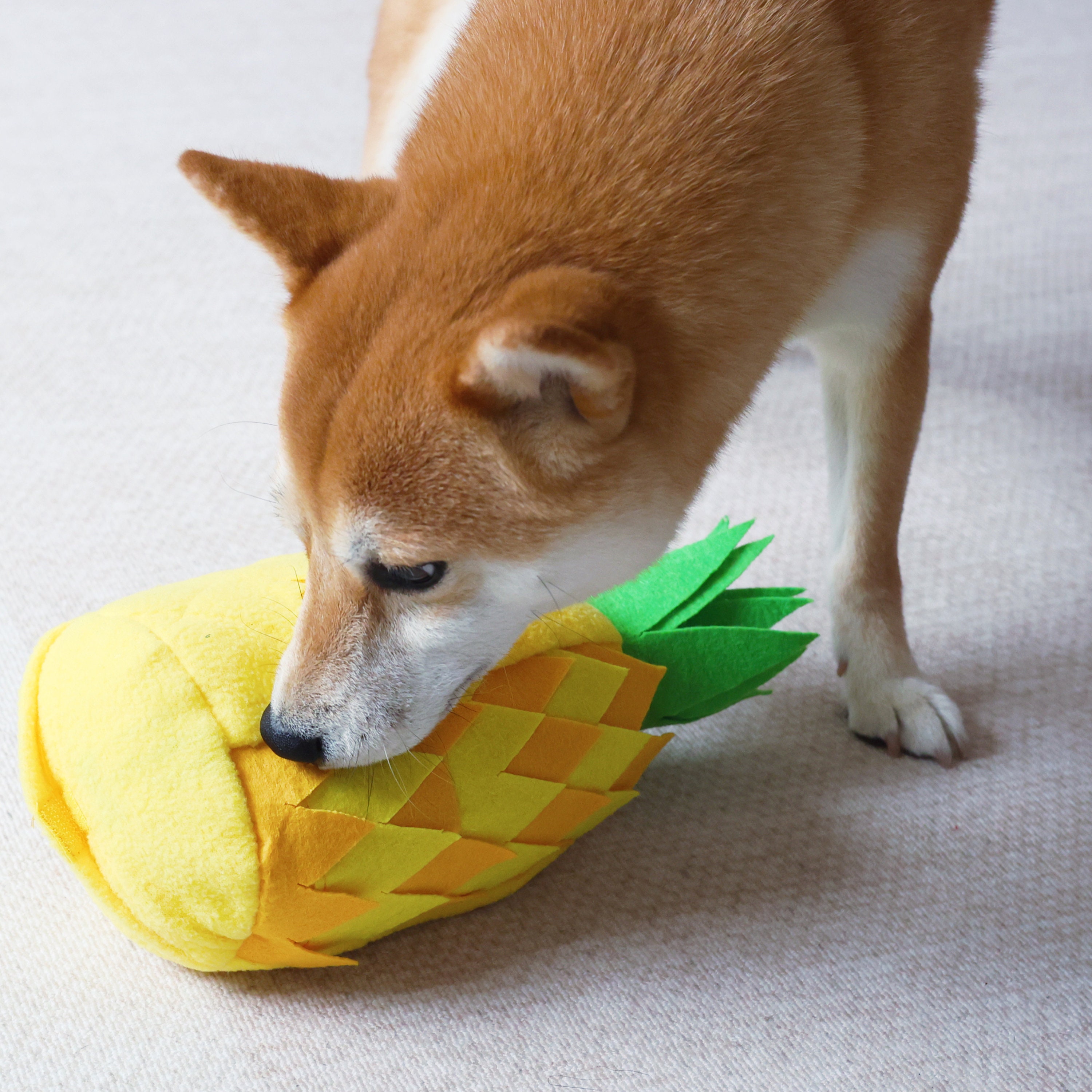 Pineapple dog toy hot sale