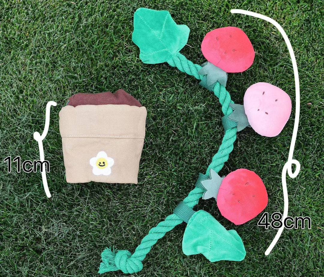 Strawberries Dog Hide and Seek Toy, Pet Rope Toy, Dog Squeaky Toy With