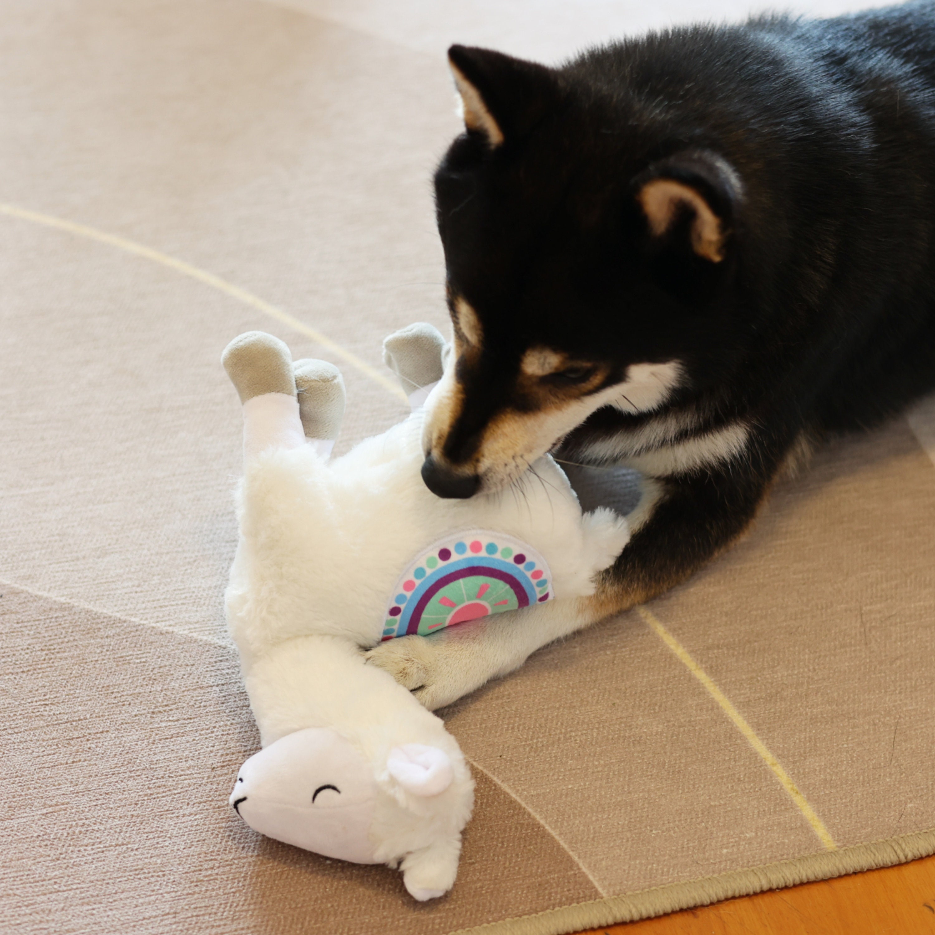 Handmade Alpaca Plush Dog Toy: Squeaky Pet Companion - Etsy