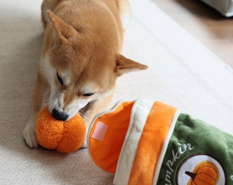 Pumpkin Dog Hide and Seek Toy: Plush Puzzle with Squeakers