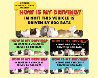 How Is My Driving? I'm Not, This Vehicle Is Driven By 500 Rats | Funny Meme Gen Z Sticker, Bumper Sticker And Magnet!