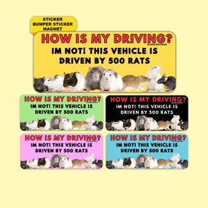 How Is My Driving? I'm Not, This Vehicle Is Driven By 500 Rats | Funny Meme Gen Z Sticker, Bumper Sticker And Magnet!