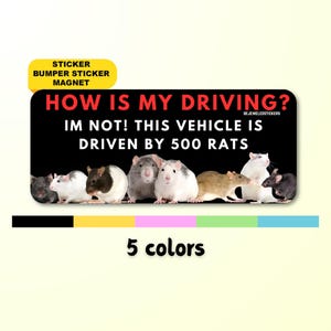 How Is My Driving? I&#39;m Not, Driven By 500 Rats | Funny Rat Meme Gen Z Sticker, Bumper Sticker, Car Magnet | Waterproof premium vinyl Satire