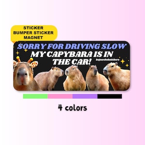 Sorry for driving slow, my capybara is in the car | Funny Cute Gen z Sticker, Bumper sticker, Magnet and Bumper Magnet